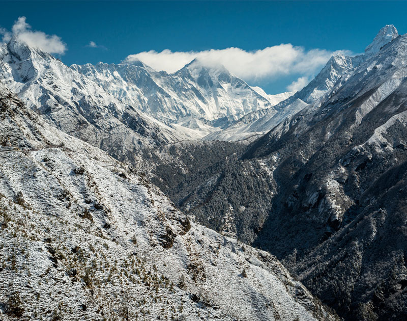 【永久授权码】免费获取的在线手机号接收