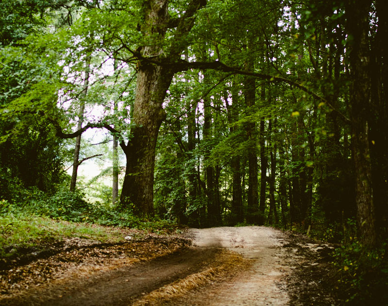 短信验证码轰炸平台